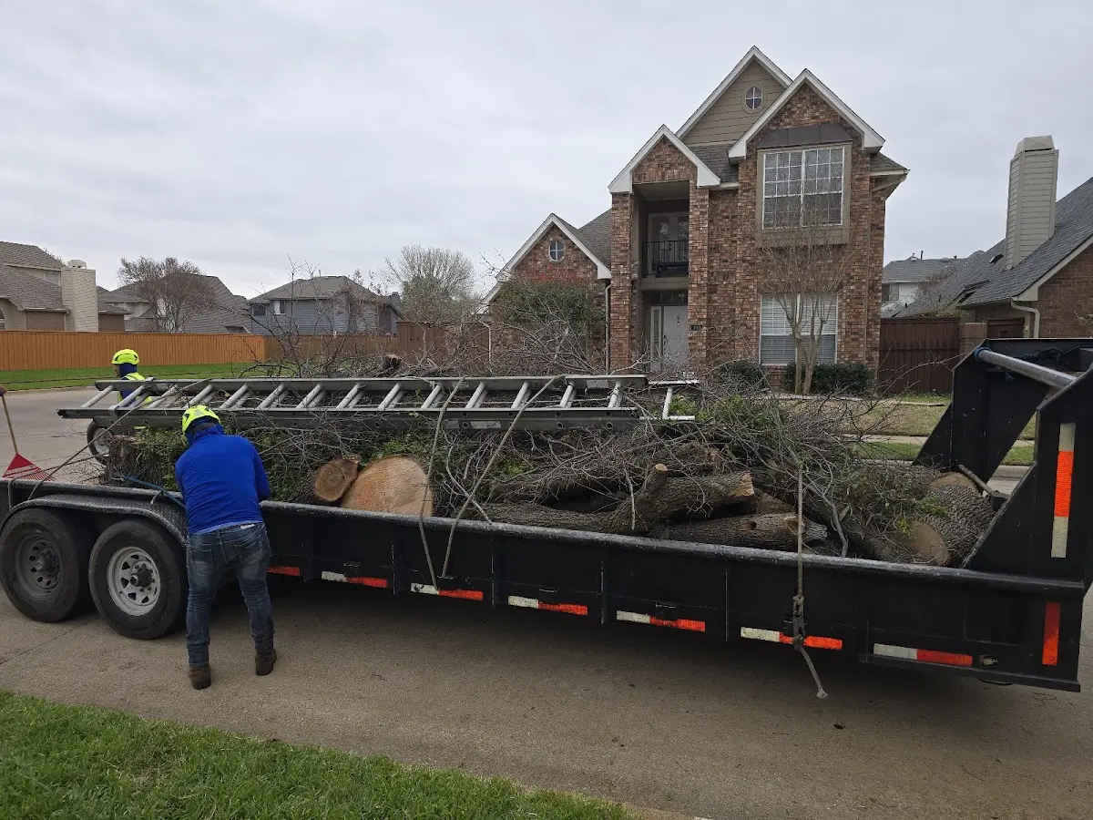 Expert Tree Fertilization with proper safety equipment in Glidden